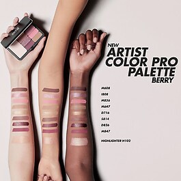 Artist Color Pro Palette Ginger - Palette Yeux